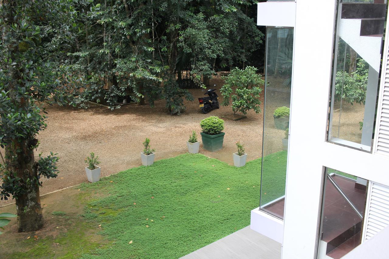 Gem Field Rest Bed and Breakfast Ratnapura Buitenkant foto